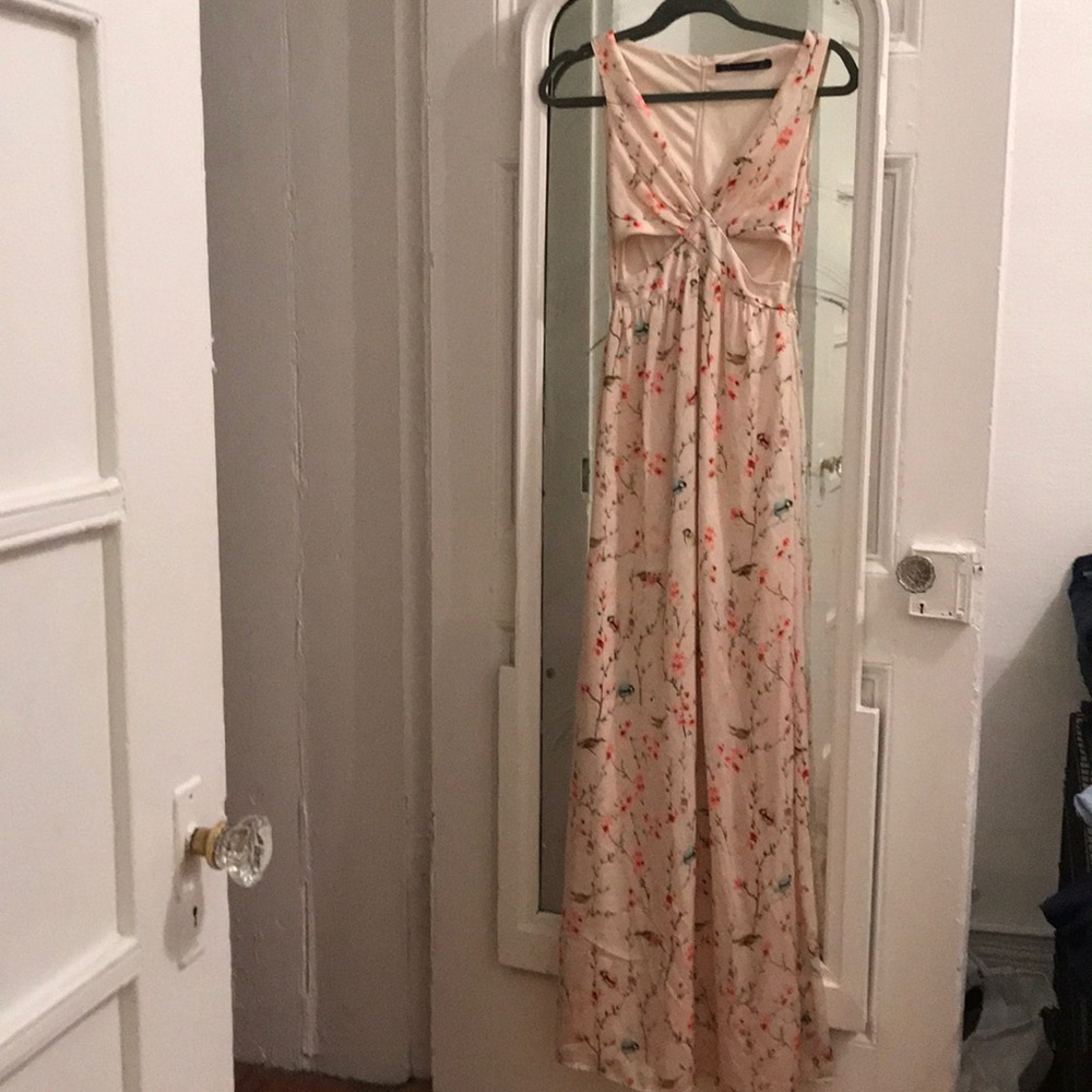Unworn Flowery Zara Dress